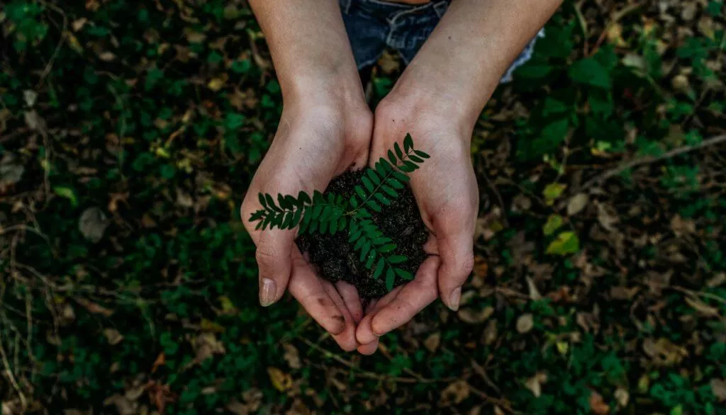 NFT's Impact on the Environment