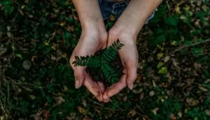 NFT's Impact on the Environment