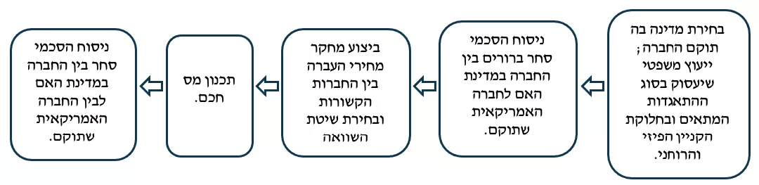 הקמת חברה אמריקאית שתרכז את הליכי הייבוא ומהכירה בארה״ב