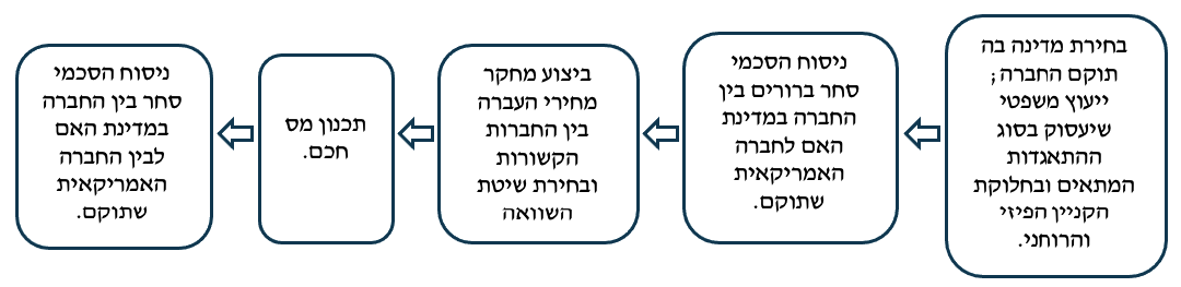 הקמת חברה אמריקאית שתרכז את הליכי הייבוא ומהכירה בארה״ב